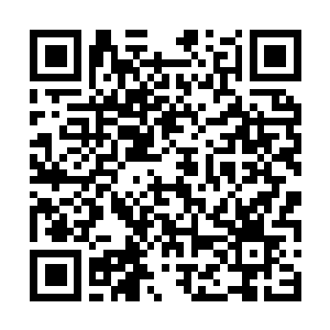 Link naar je actie QRCode - Fondswerving