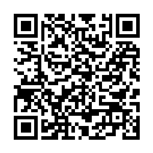 Link naar je actie QRCode - Fondswerving