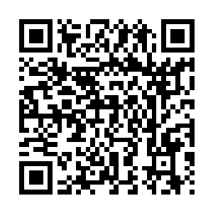 Link naar je actie QRCode - Fondswerving