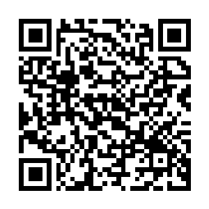 Link naar je actie QRCode - Fondswerving