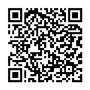 Link naar je actie QRCode - Fondswerving
