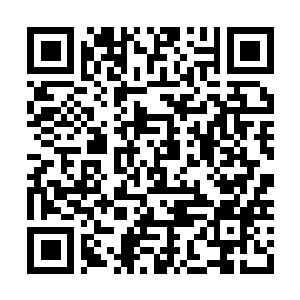 Link naar je actie QRCode - Fondswerving