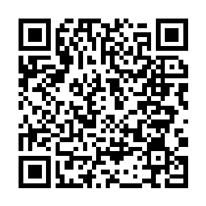 Link naar je actie QRCode - Fondswerving