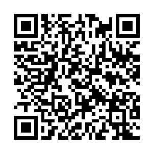 Link naar je actie QRCode - Fondswerving