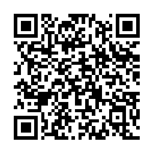 Link naar je actie QRCode - Fondswerving