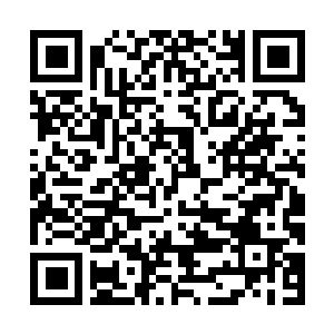 Link naar je actie QRCode - Fondswerving