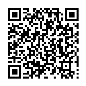 Link naar je actie QRCode - Fondswerving