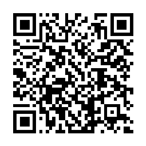 Link naar je actie QRCode - Fondswerving