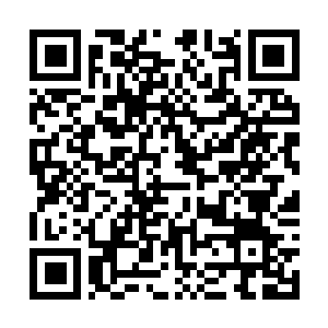 Link naar je actie QRCode - Fondswerving