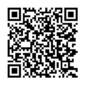 Link naar je actie QRCode - Fondswerving
