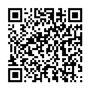 Link naar je actie QRCode - Fondswerving