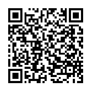 Link naar je actie QRCode - Fondswerving