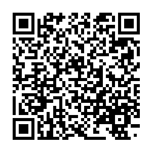 Link naar je actie QRCode - Fondswerving