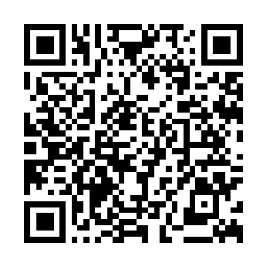 Link naar je actie QRCode - Fondswerving