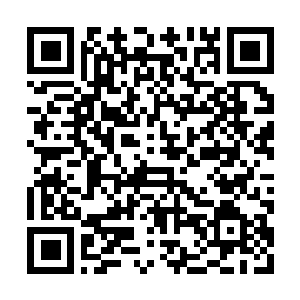 Link naar je actie QRCode - Fondswerving