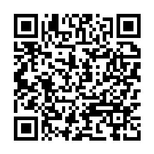 Link naar je actie QRCode - Fondswerving