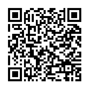 Link naar je actie QRCode - Fondswerving