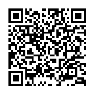 Link naar je actie QRCode - Fondswerving