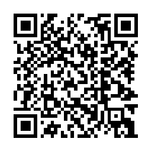 Link naar je actie QRCode - Fondswerving