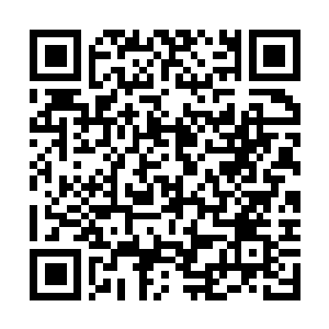 Link naar je actie QRCode - Fondswerving