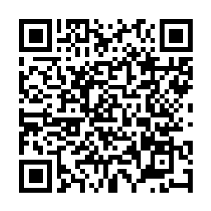 Link naar je actie QRCode - Fondswerving