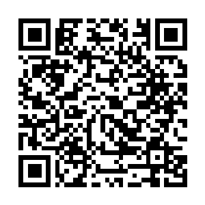 Link naar je actie QRCode - Fondswerving