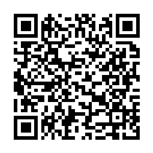 Link naar je actie QRCode - Fondswerving