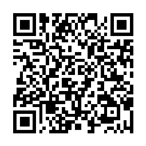 Link naar je actie QRCode - Fondswerving