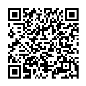 Link naar je actie QRCode - Fondswerving