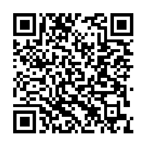 Link naar je actie QRCode - Fondswerving
