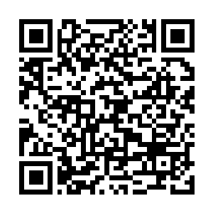 Link naar je actie QRCode - Fondswerving