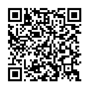 Link naar je actie QRCode - Fondswerving
