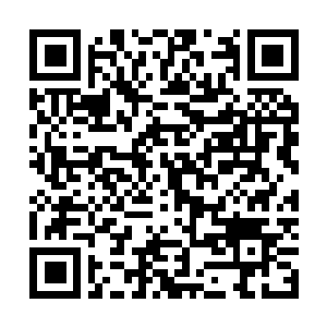 Link naar je actie QRCode - Fondswerving
