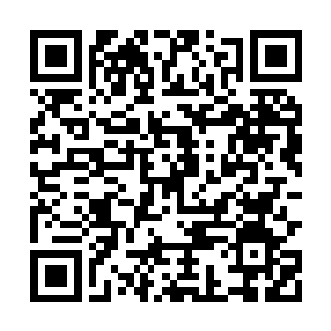 Link naar je actie QRCode - Fondswerving