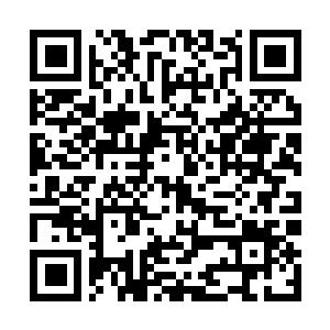 Link naar je actie QRCode - Fondswerving