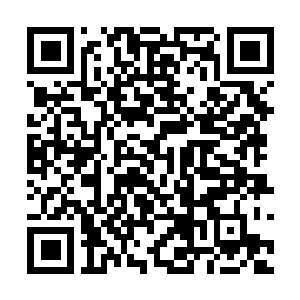 Link naar je actie QRCode - Fondswerving