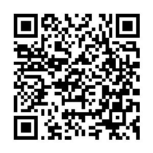 Link naar je actie QRCode - Fondswerving