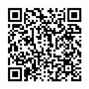 Link naar je actie QRCode - Fondswerving