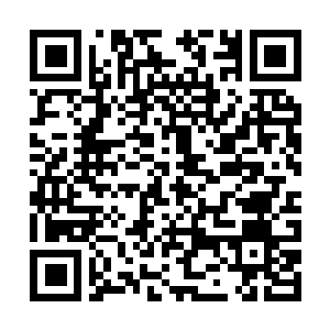 Link naar je actie QRCode - Fondswerving