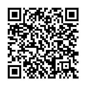 Link naar je actie QRCode - Fondswerving