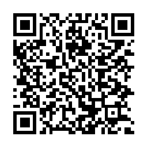 Link naar je actie QRCode - Fondswerving