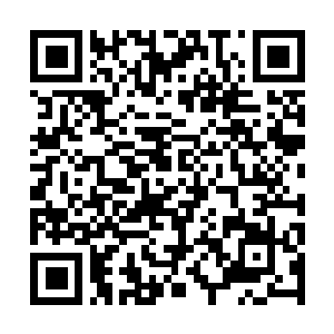 Link naar je actie QRCode - Fondswerving