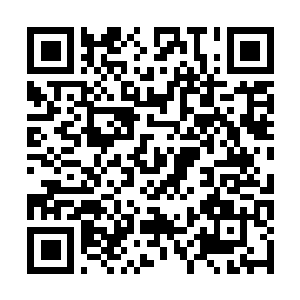 Link naar je actie QRCode - Fondswerving