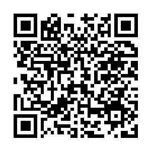 Link naar je actie QRCode - Fondswerving