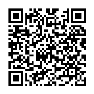 Link naar je actie QRCode - Fondswerving