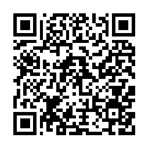 Link naar je actie QRCode - Fondswerving