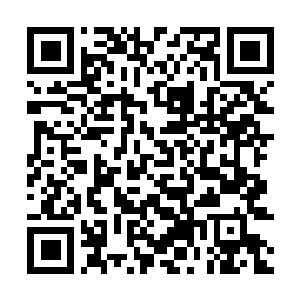 Link naar je actie QRCode - Fondswerving