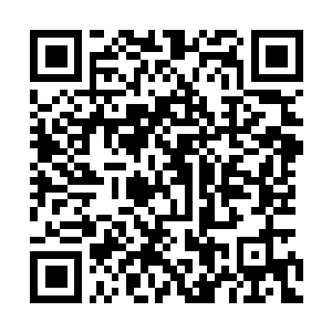 Link naar je actie QRCode - Fondswerving