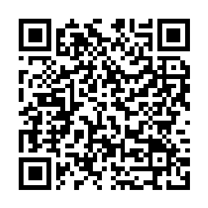 Link naar je actie QRCode - Fondswerving