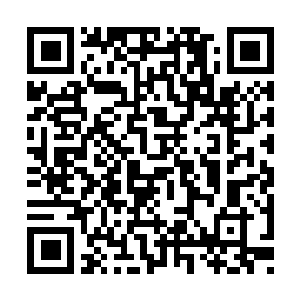 Link naar je actie QRCode - Fondswerving